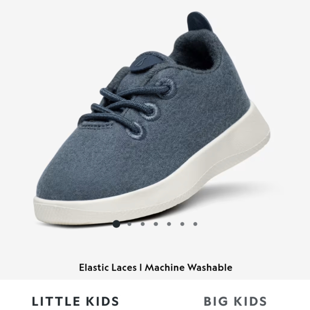 Allbirds Toddler blue shoes